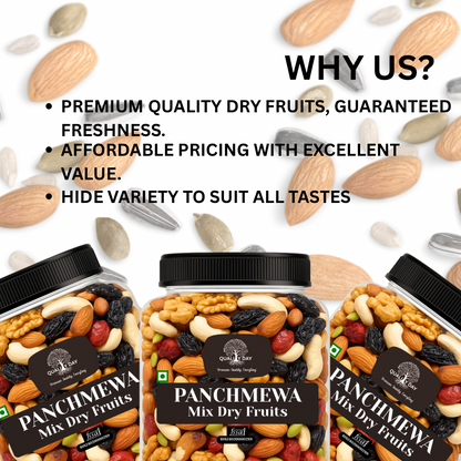 Mixed Dryfruits Panchmewa
